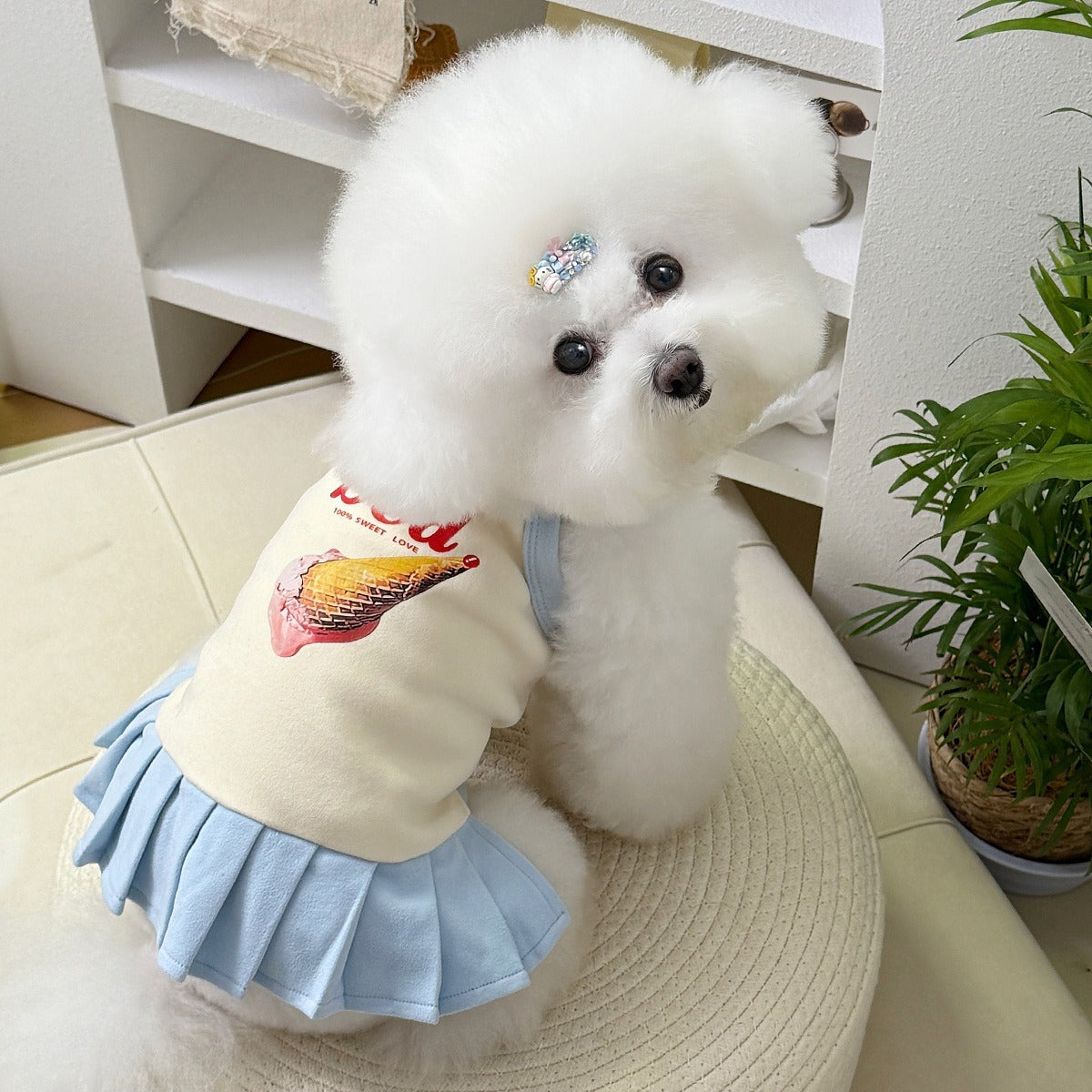 Dog clothes