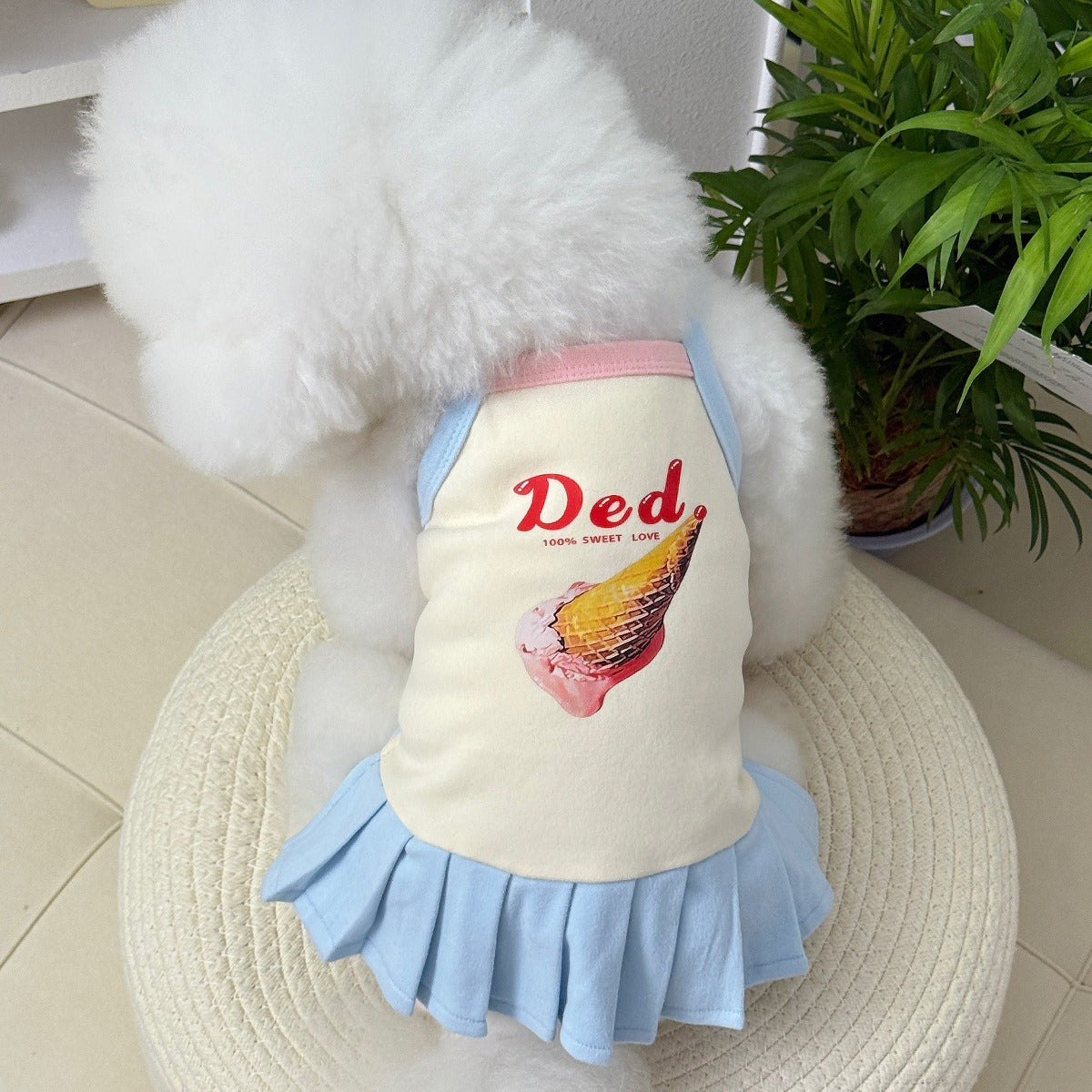 Dog clothes