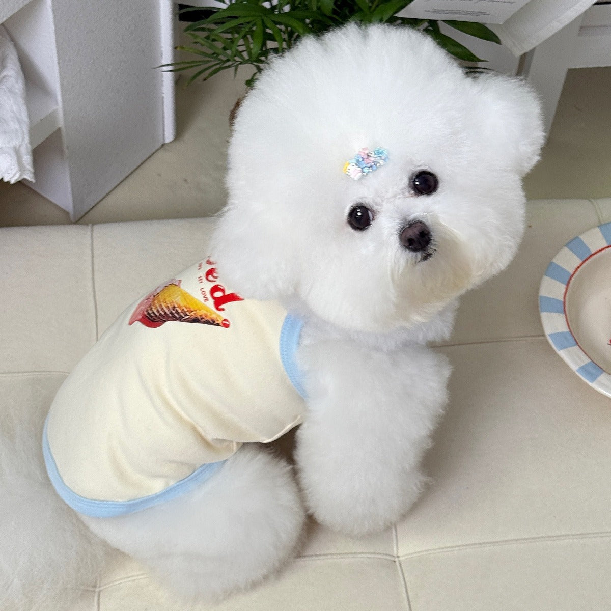 Dog clothes