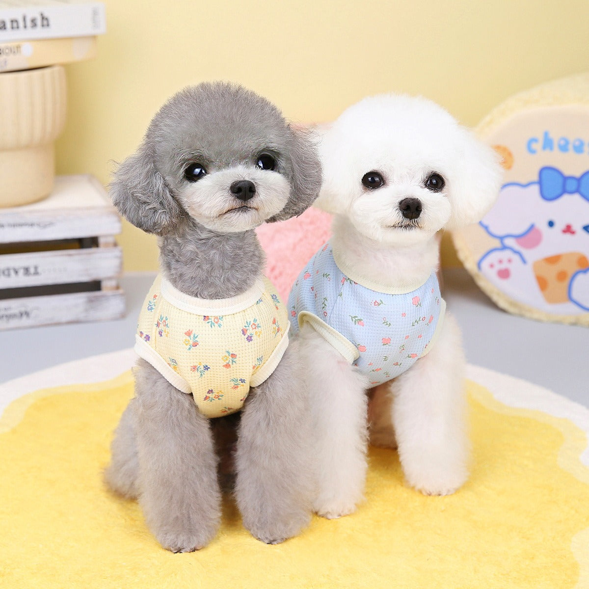 Dog clothes