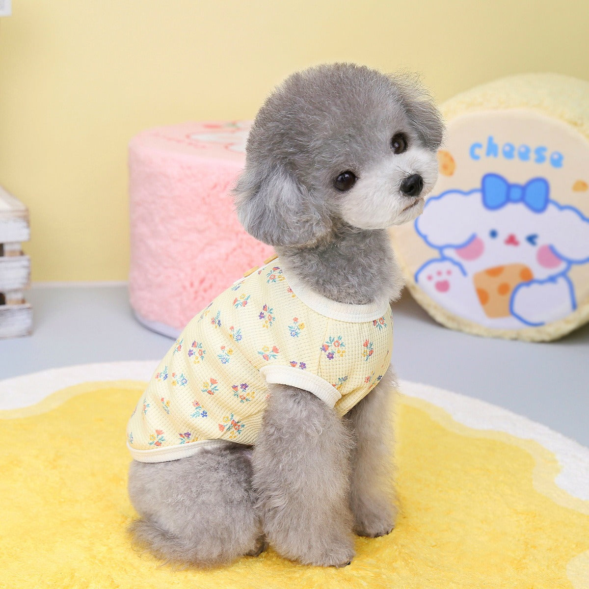 Dog clothes