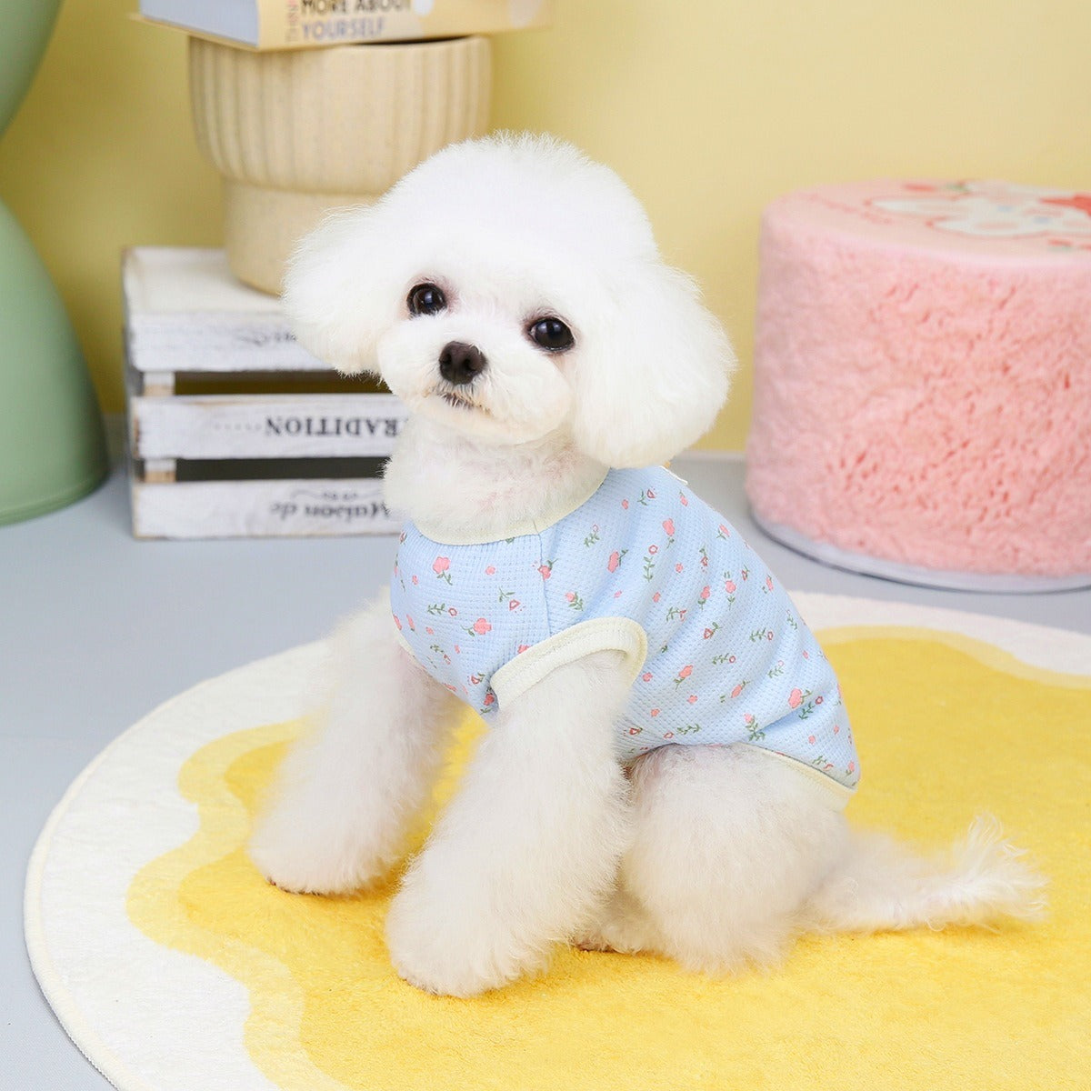 Dog clothes
